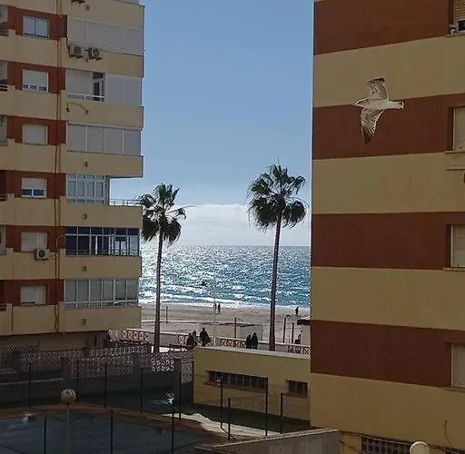 Alegrias De By Gades Gestion *