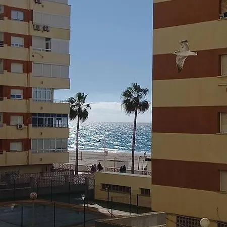 Alegrias De By Gades Gestion *